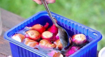 Jak zpracovat cibuli před výsadbou solí a manganistanem draselným?